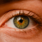 Cejas_6